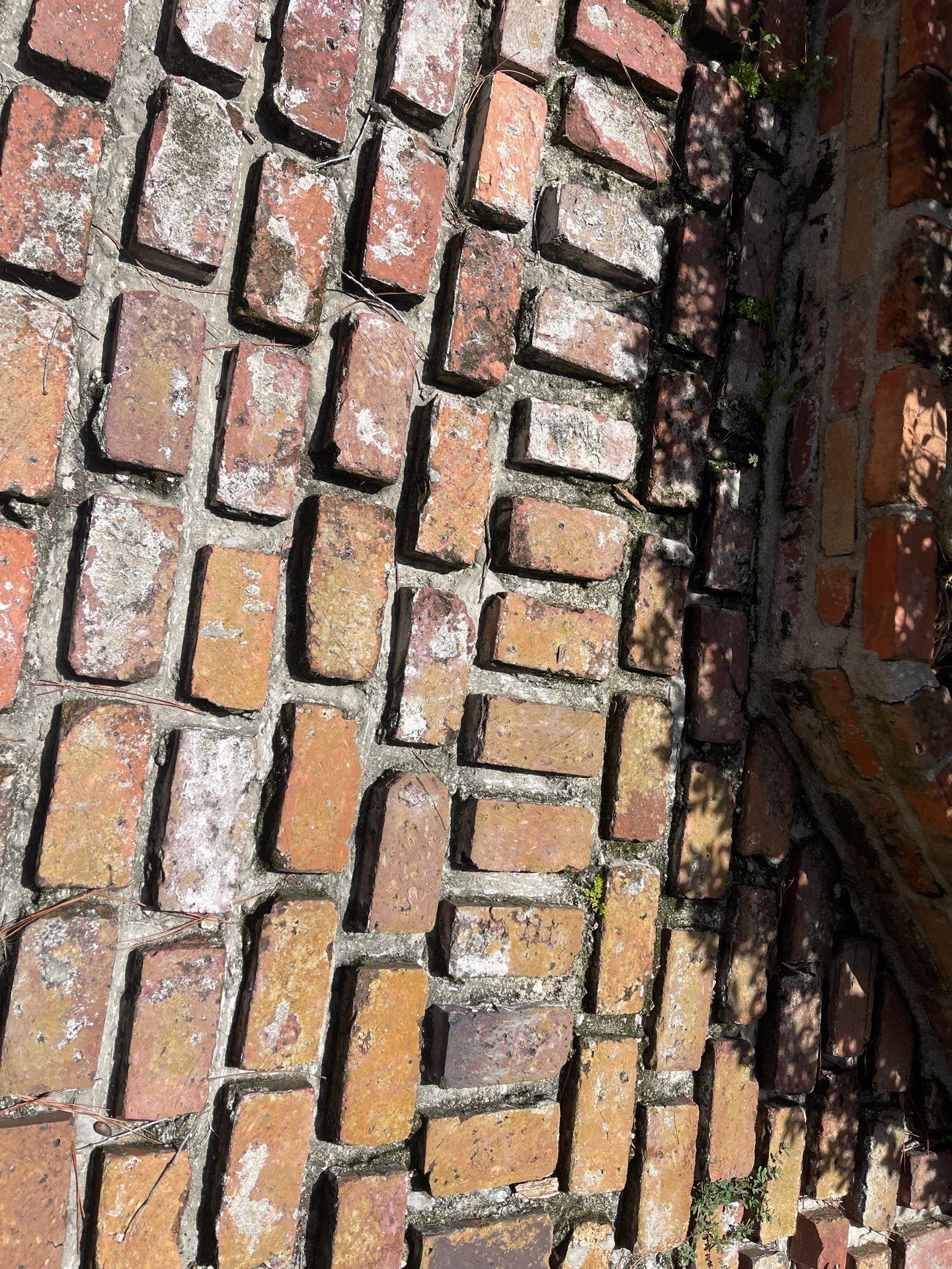 Pavers using PolySand by DuraSeal