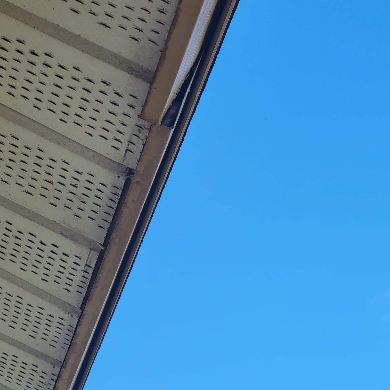 Residential Roofing Repair using Owens Corning Duration Shingles by Four Peaks Roofing