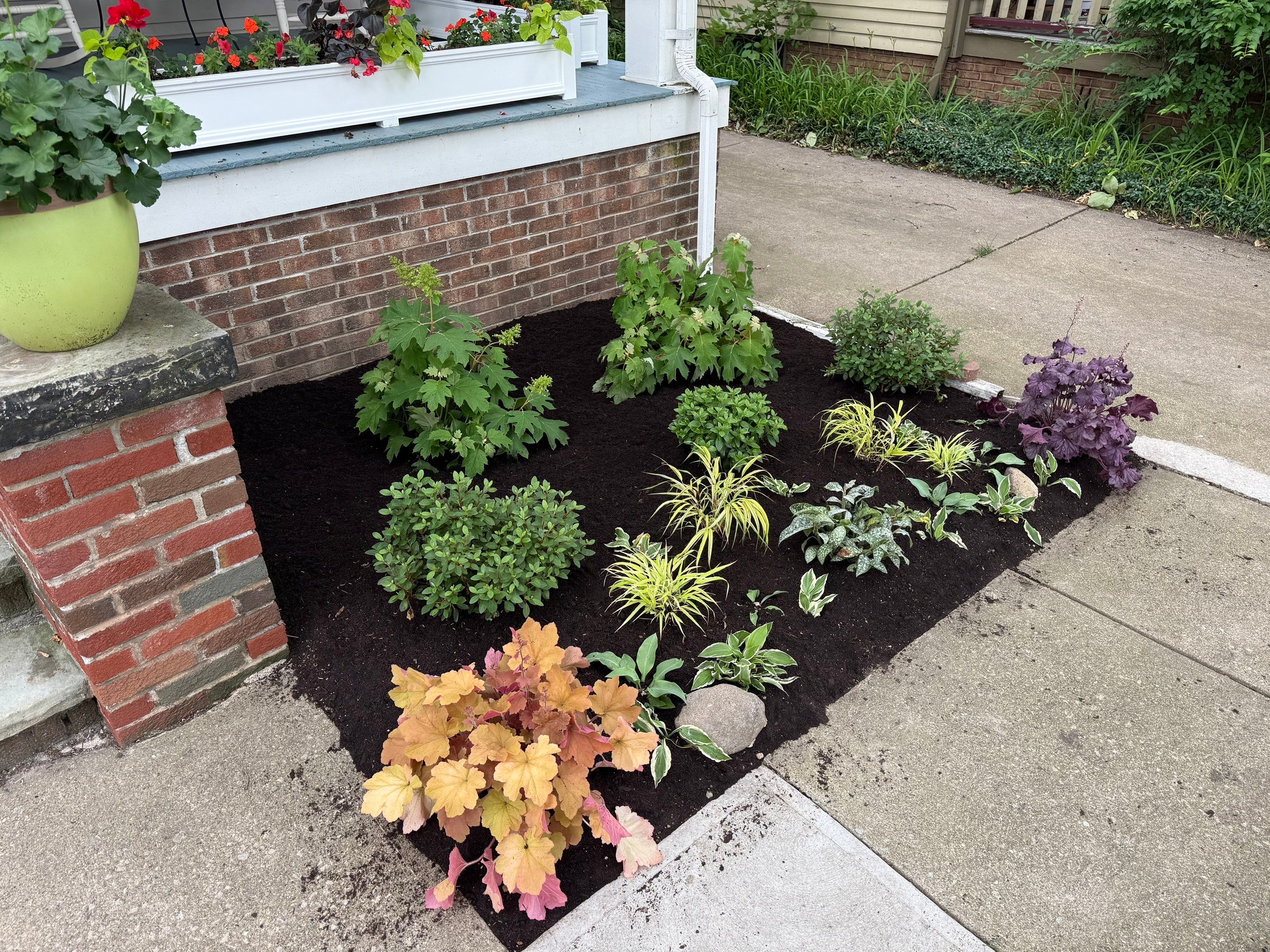 Woodland Flora Project by Elm Rose Gardens