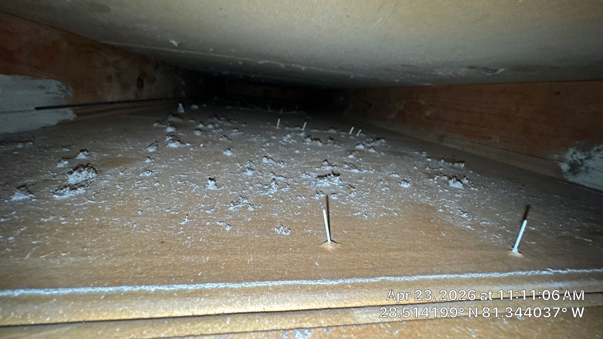 Air Duct Cleaning in Orlando by Hygienic Air, Inc