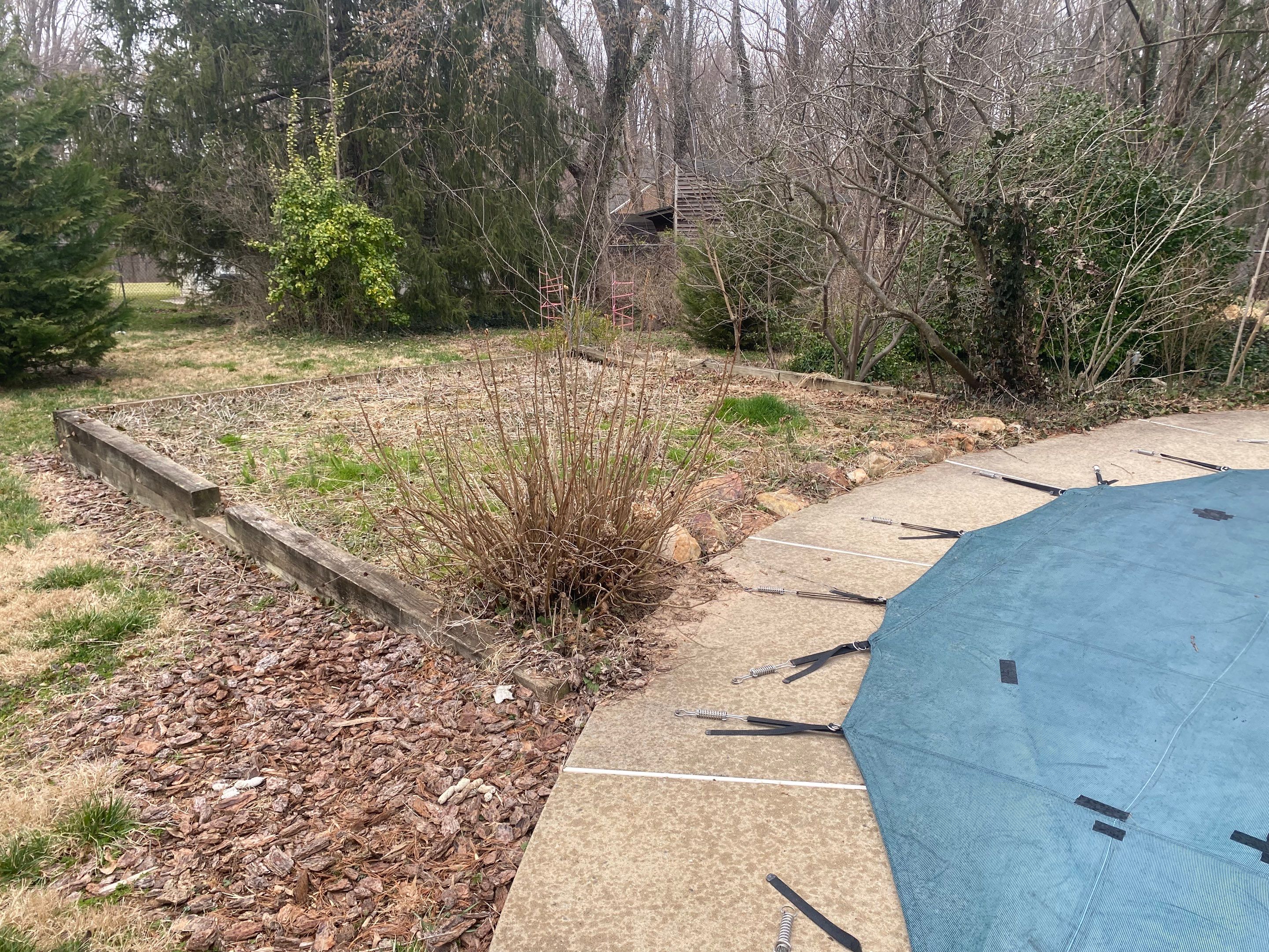 Landscape cleanup & drainage by The Smet Companies, LLC