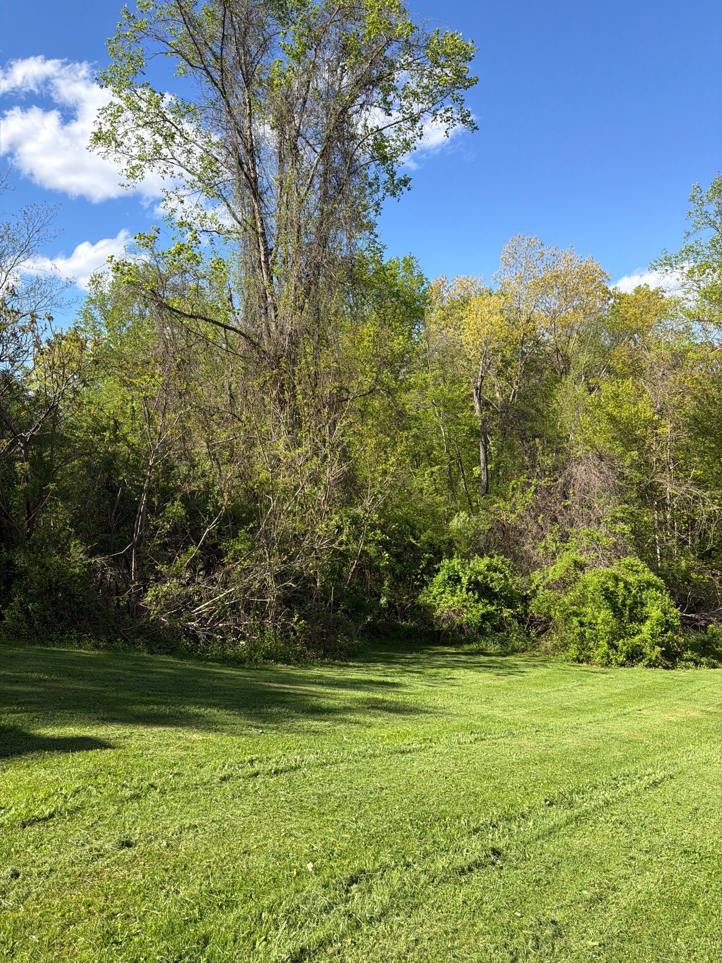 Lawn Care Visit at a Residential Property in North Branford, CT by Diamond Image LLC