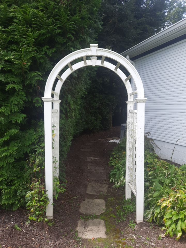 Tree Trimming using Tree Pruing by Mike Jones & Sons Tree Service LLC 