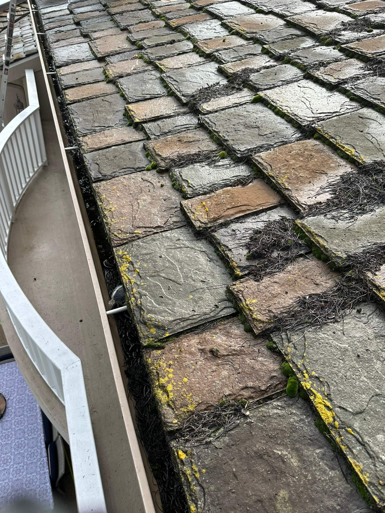 Orange County Gutter Cleaning in Wet Conditions by Property Cleaning Experts