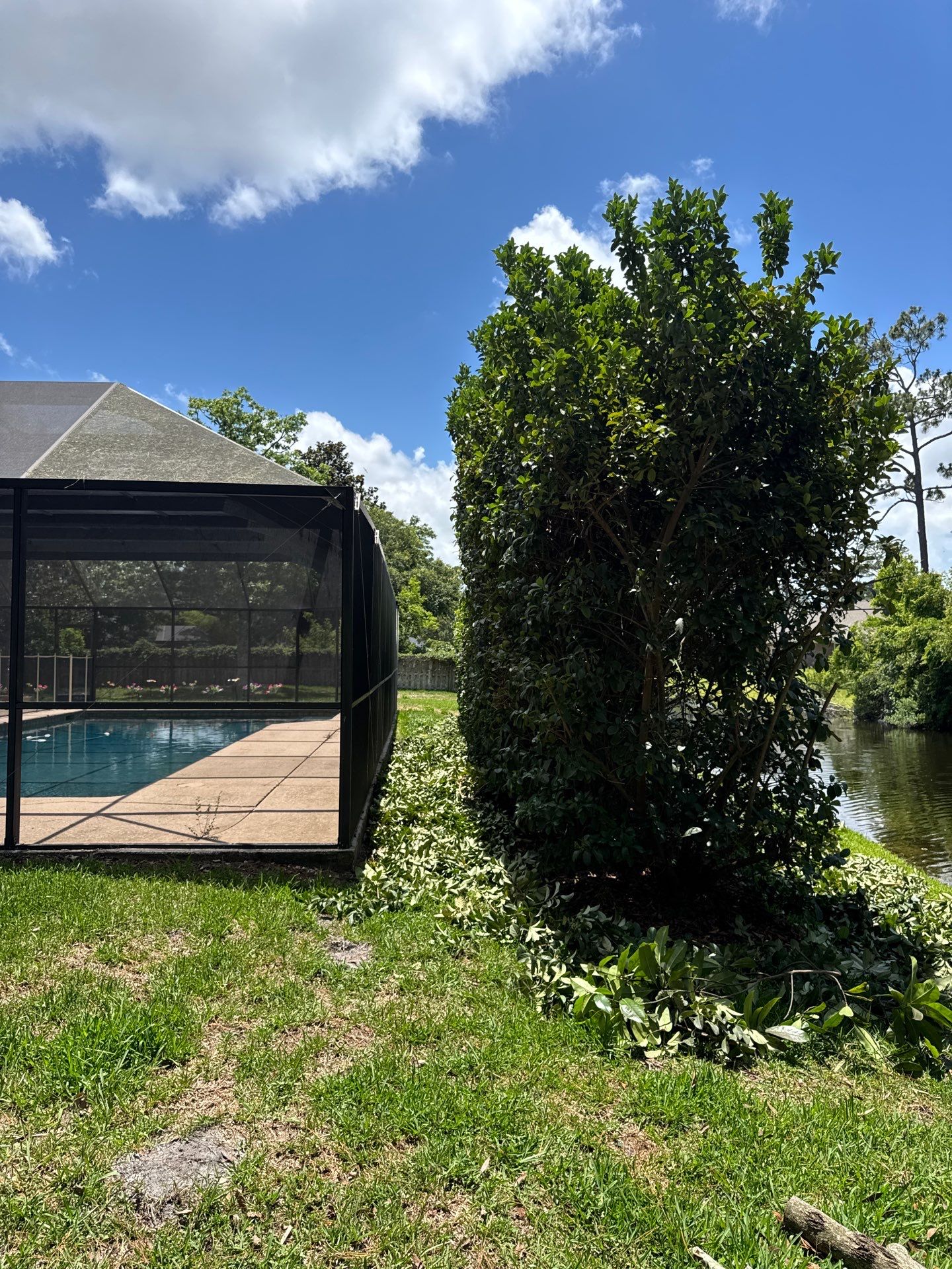 Deerwood Resident | Tree Trimming by ProGreen Services