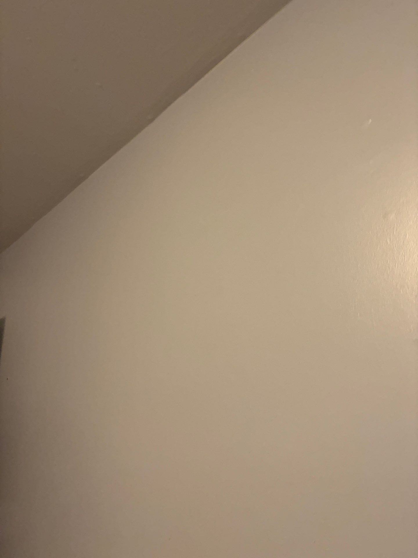 Flush Mount Light Fixture and Ceiling Vent Upgrade in Denver by CompanyCam Sales Demo