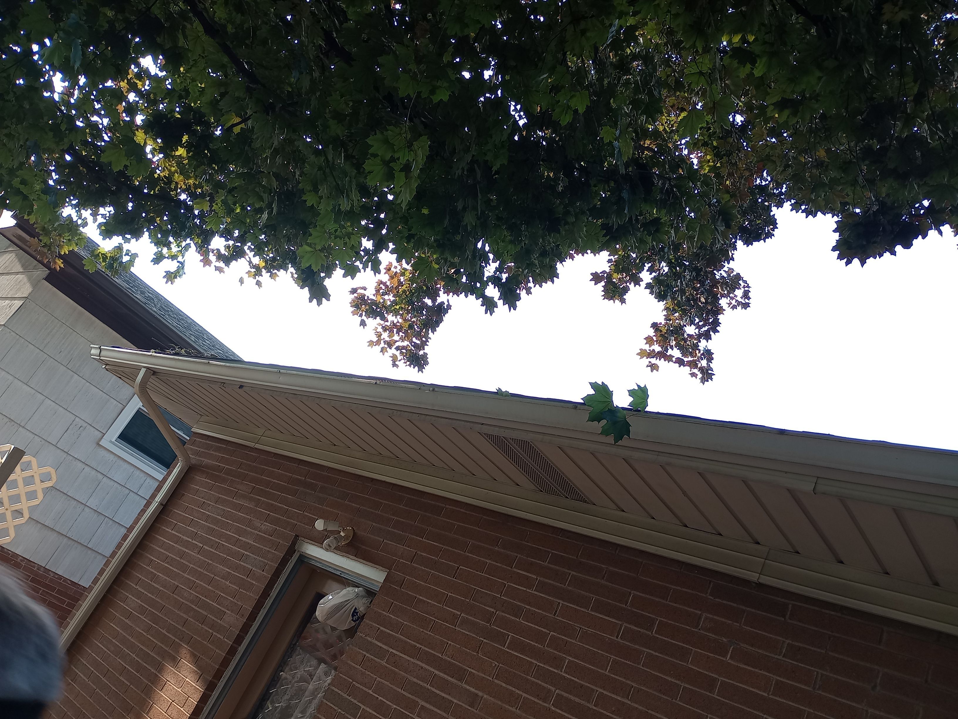 Mark Williams by Silver Leaf Contracting 
