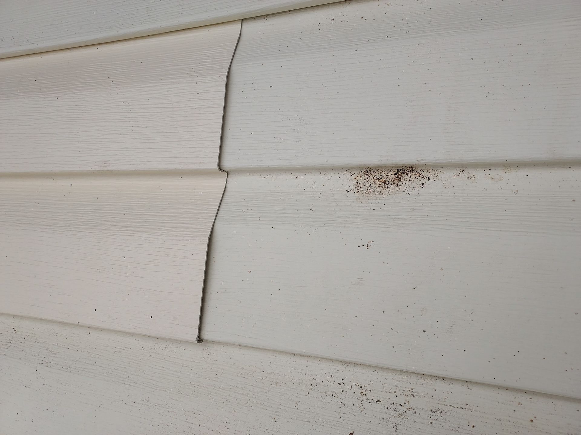 Jonathon Salmons Hail & Tree Damage Report by Constructive Project Management