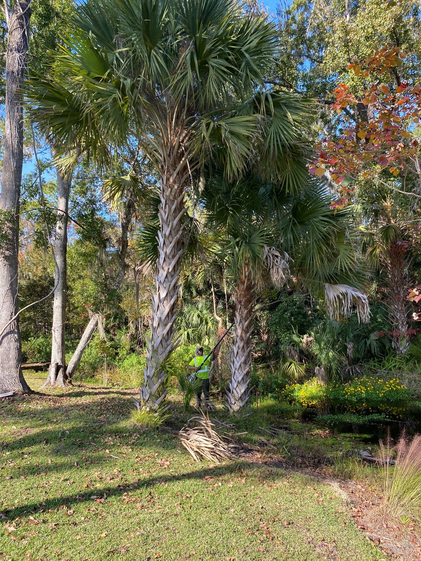 Deerwood Resident | Extreme Clean Up by ProGreen Services