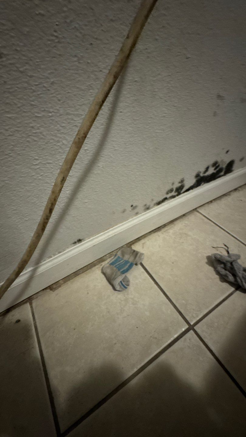 Mold Damage Project in Denver by Accountable Home Services