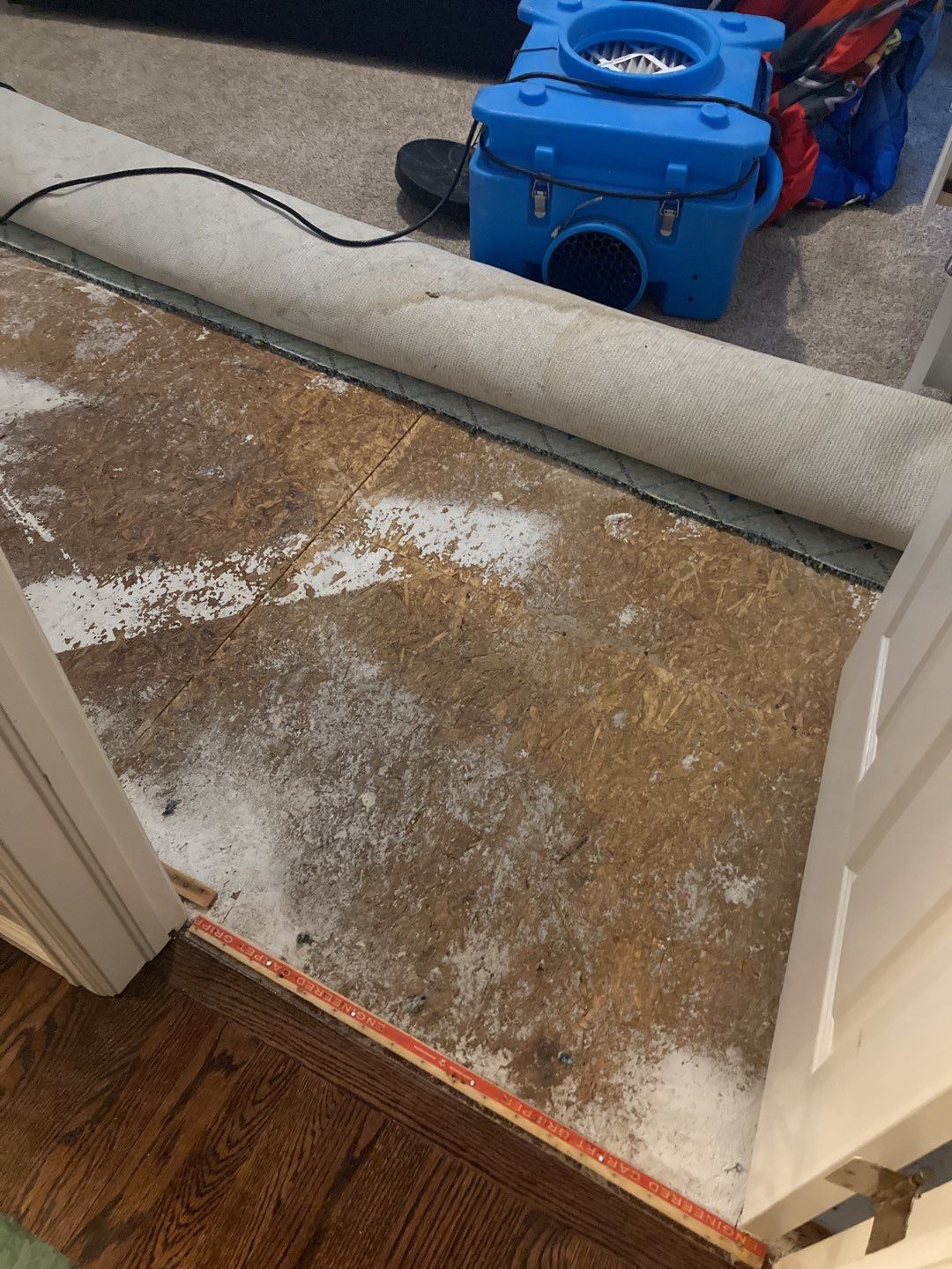 Water Damage by Accountable Home Services
