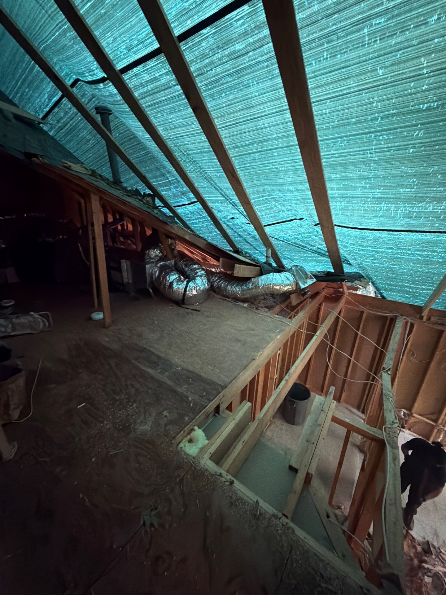 Storm Damage Mitigation and Structural Drying After Tree Impact in Raleigh by One Team Restoration