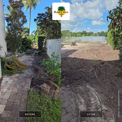Hammock Creek Estate | Phase 1 – The Art of Precision Removal