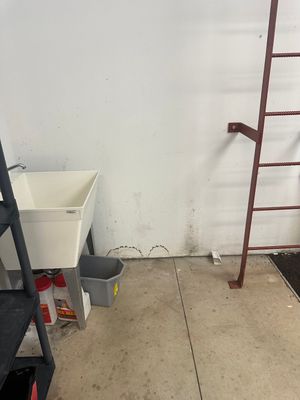 Commercial mold from long term roof leak