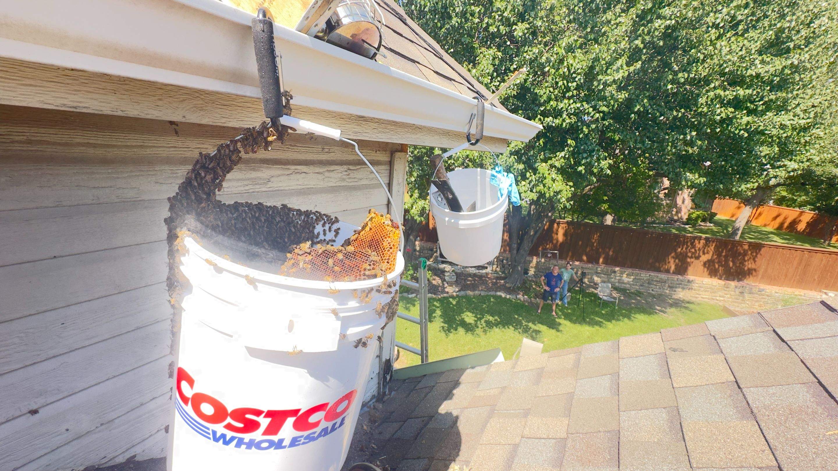 Rooftop by Rockwall Honey Bee Company