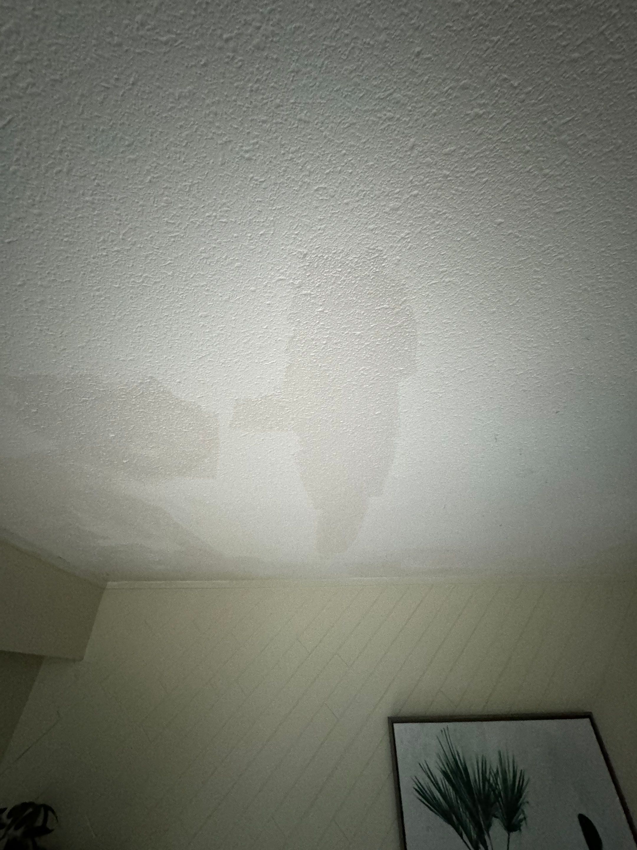 Ceiling Repair by YVR Construction Group