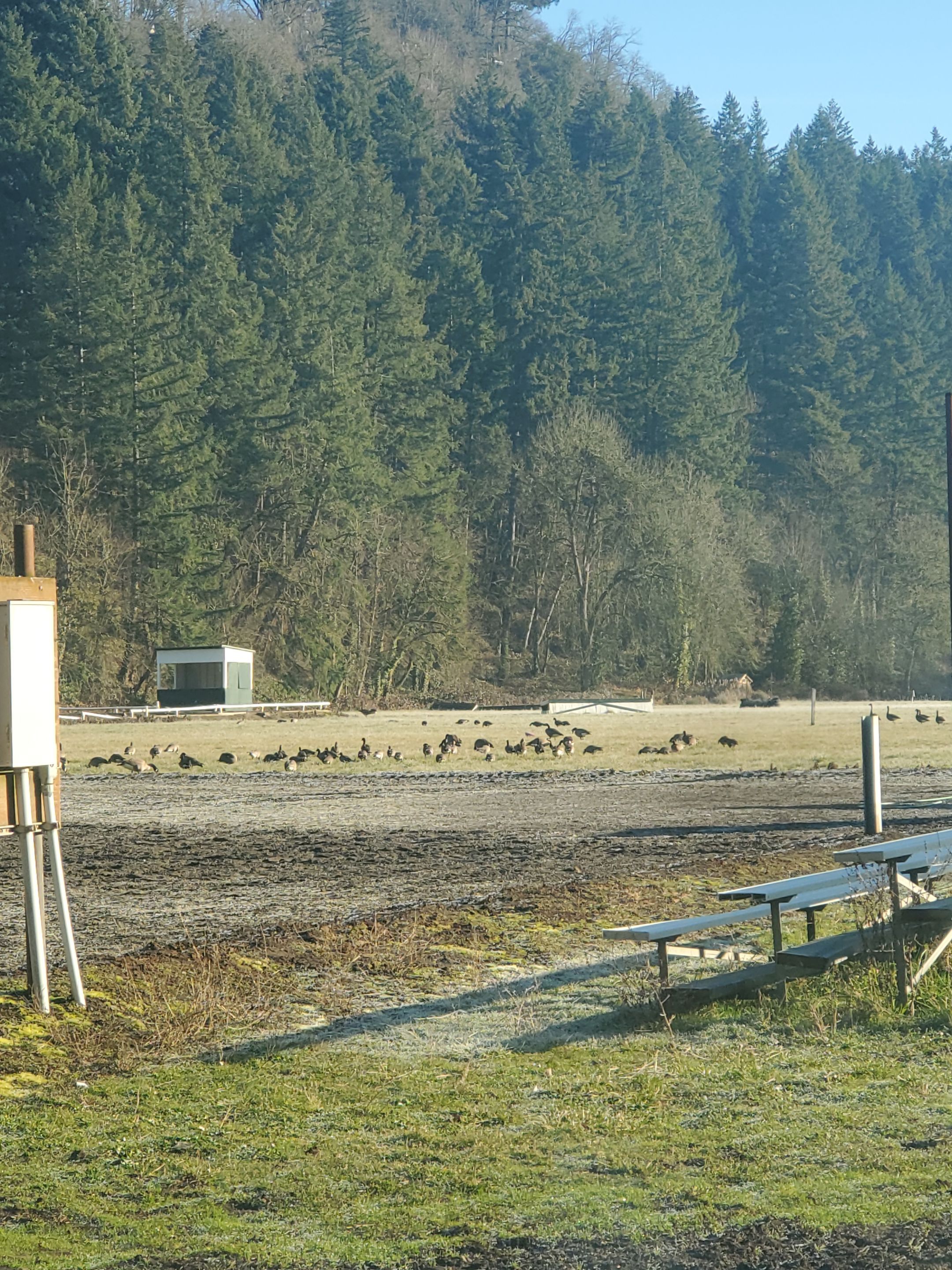 Lake Oswego Hunt Club Equestrian Outdoor Arena  by Construction Now LLC