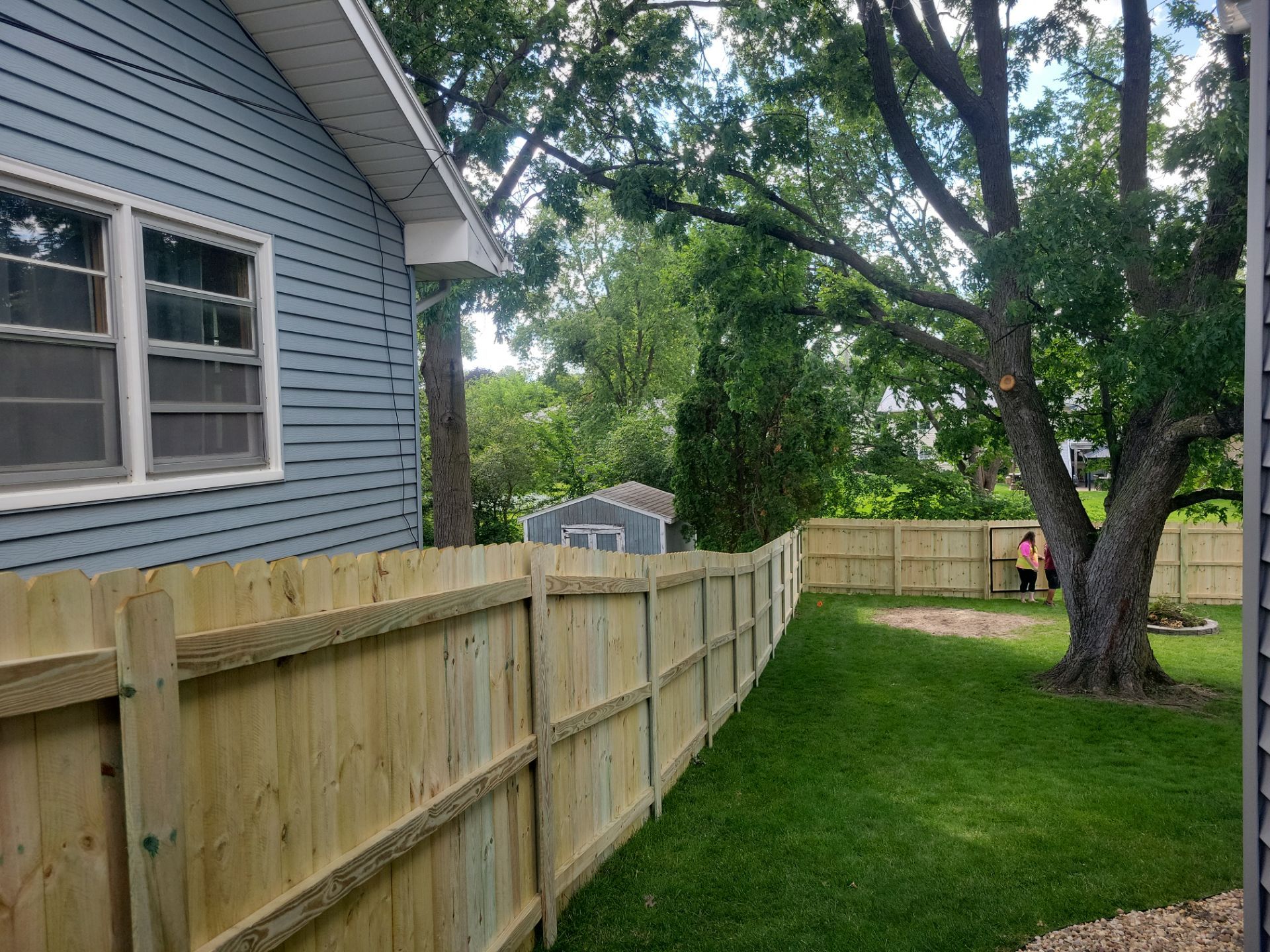 Pressure-Treated Pine Privacy Fence and Custom Gates in Waterloo by Perfect Picket Fence and Stain