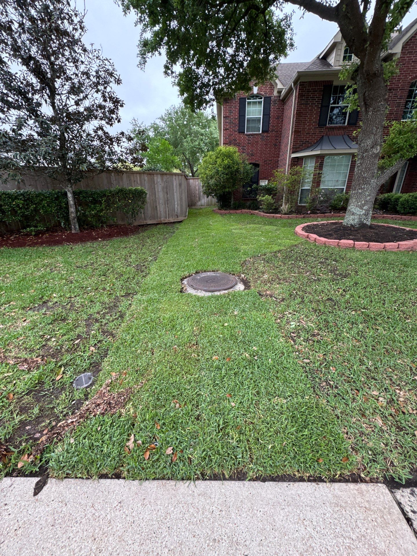 🌿 Mrs. Coleman’s Lawn & Drainage Restoration by Texas Urban Elements