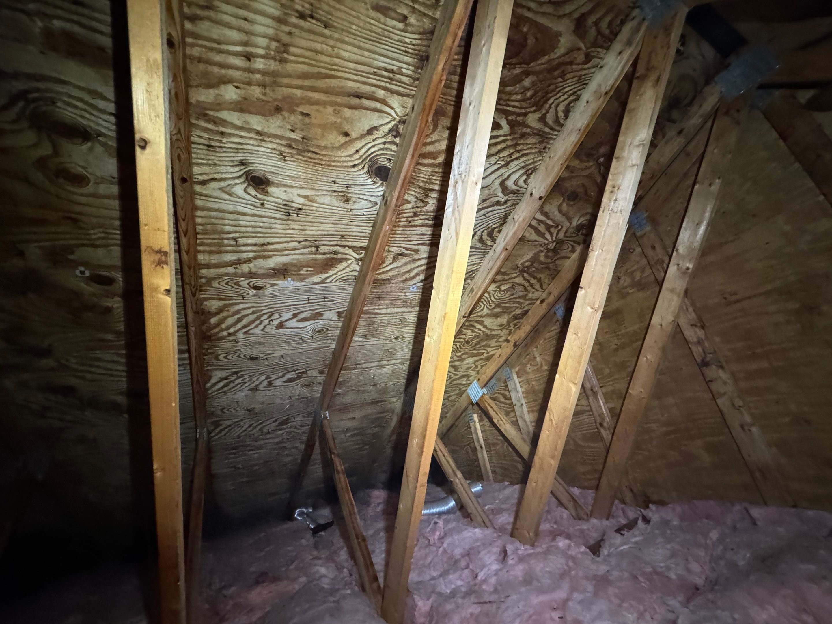 Attic Mold Remediation using Home Guarantee by Home Guarantee, LLC
