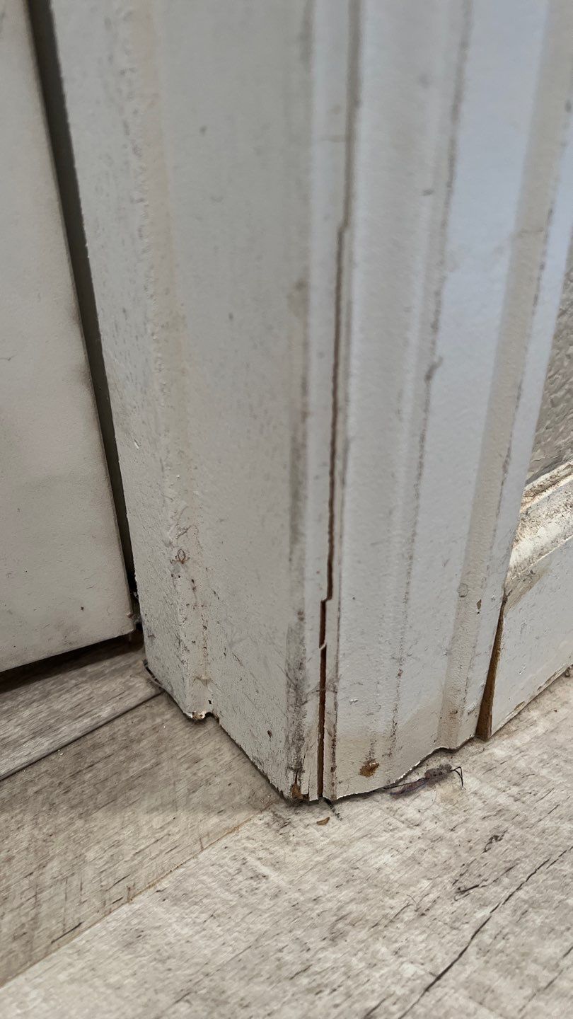 Water Damage and Mold Remediation by Accountable Home Services