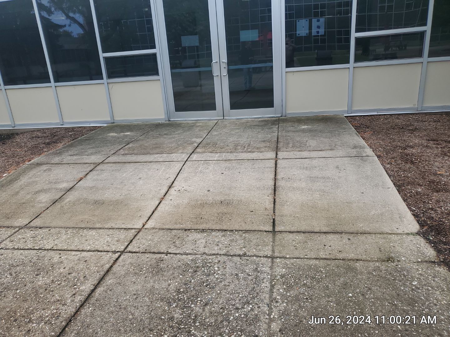 concrete using Algaecide, soft wash soap by Northern Power Washing LLC.
