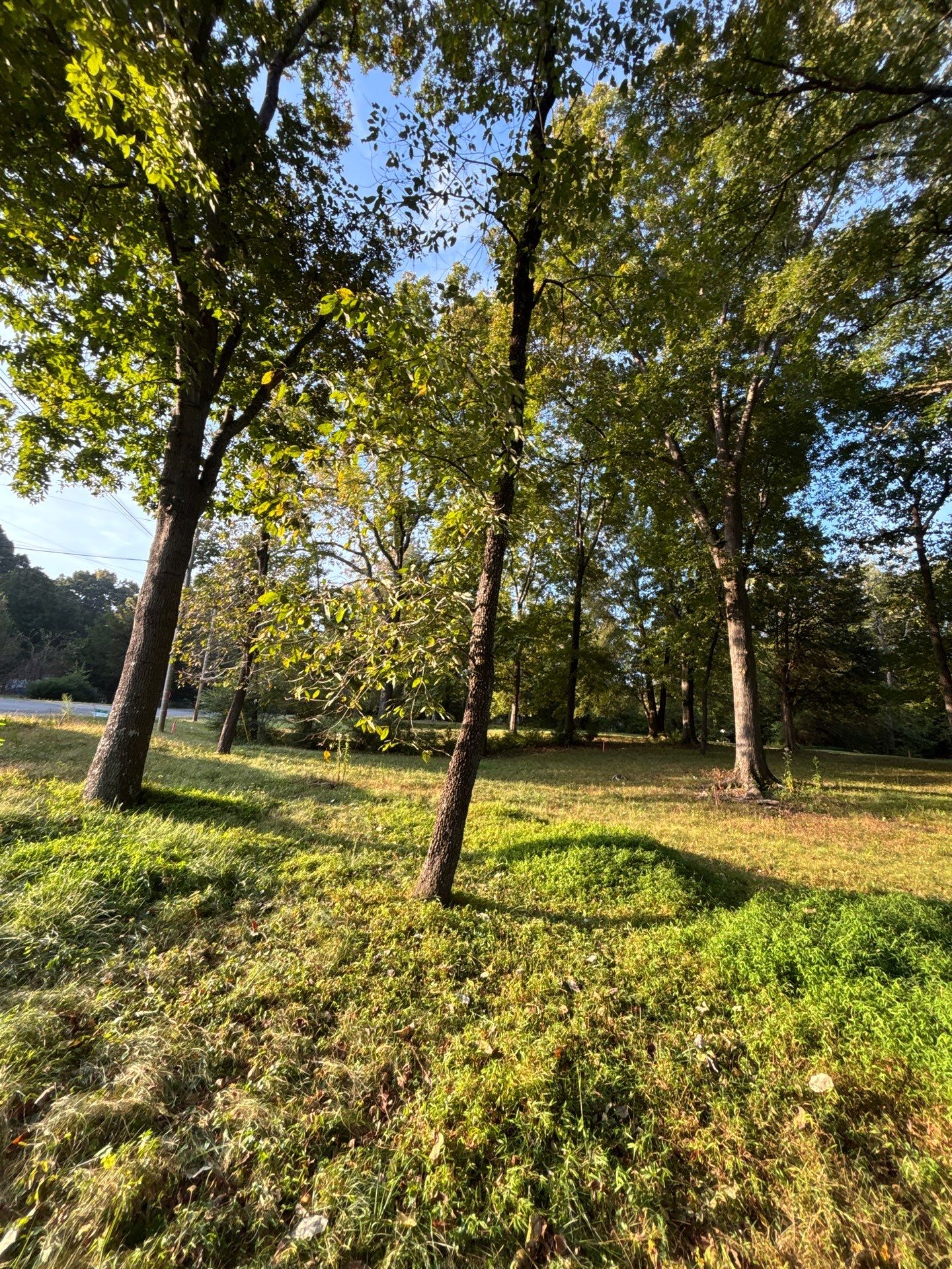 Residential Site Preparation and Land Clearing in Thomasville by Four Oaks Grading and Septic, LLC