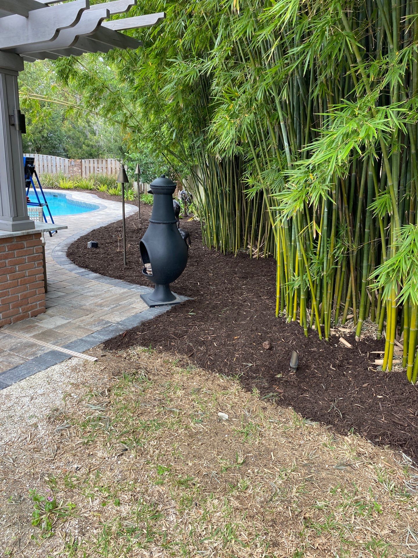 Deerwood Resident | Tree Removal & Mulch Install by ProGreen Services