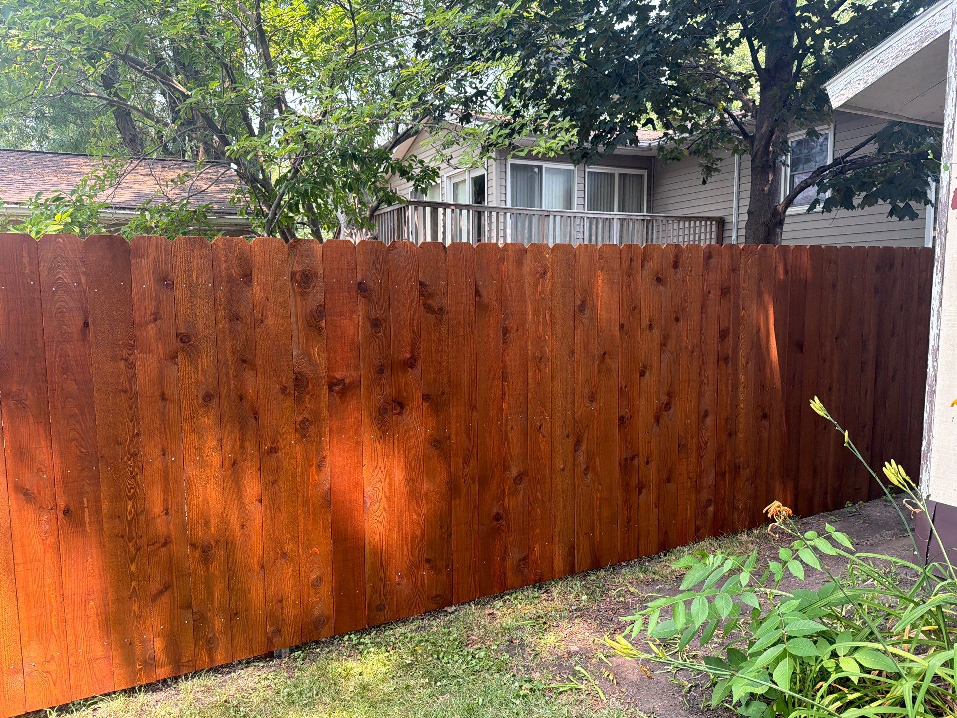 Pecan Cedar Privacy Fence Installation with Scalloped Top in Cedar Falls by Perfect Picket Fence and Stain