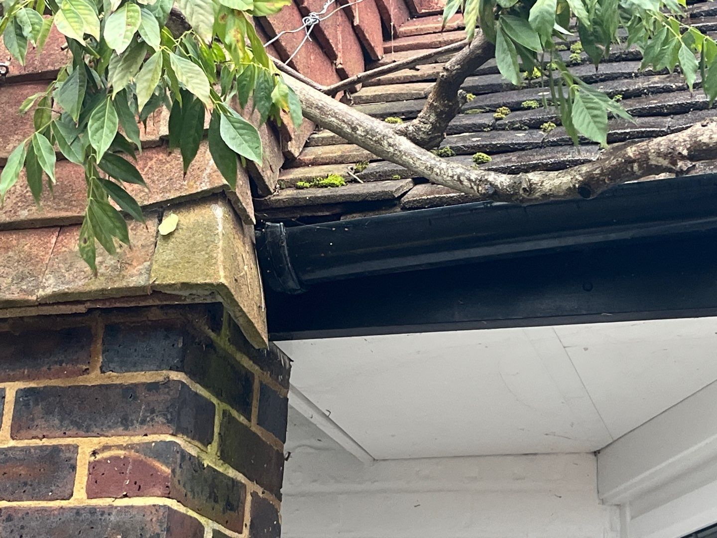 Roof Clean  - Moss Removal - Gutter Clean using Honda 15lpm Low Pressure Washing Machine by Ges Exterior Cleaning ltd