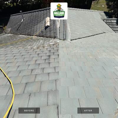 Flat Tile Roof Cleaning