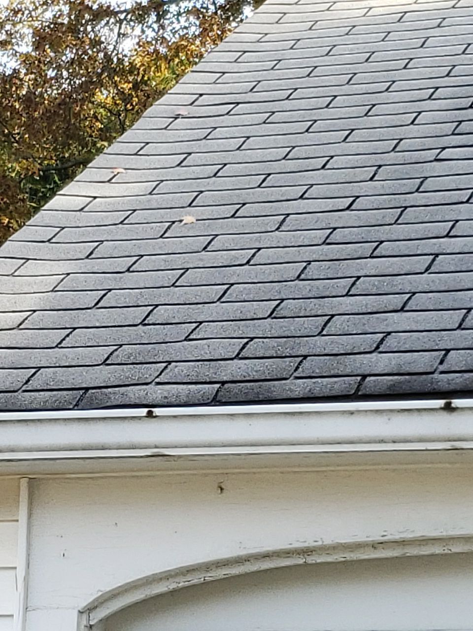 ATLAS PINNACLE SCOTCHGARD COLOR: PEWTER DRIP EDGE: BLACK by Eagle Eye Roofing
