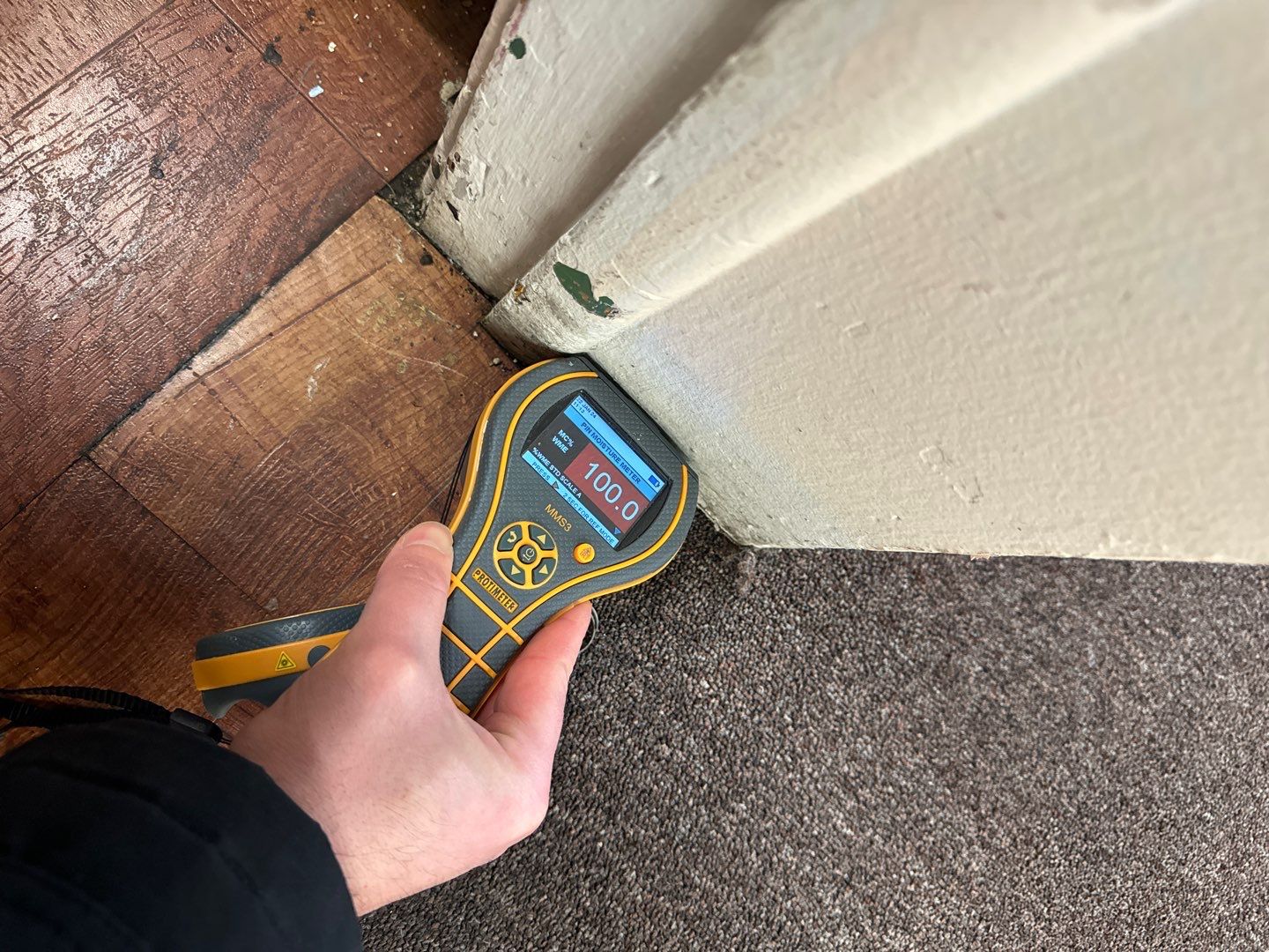 Project in Oak Park by EzDry Water Mitigation & Property Restoration