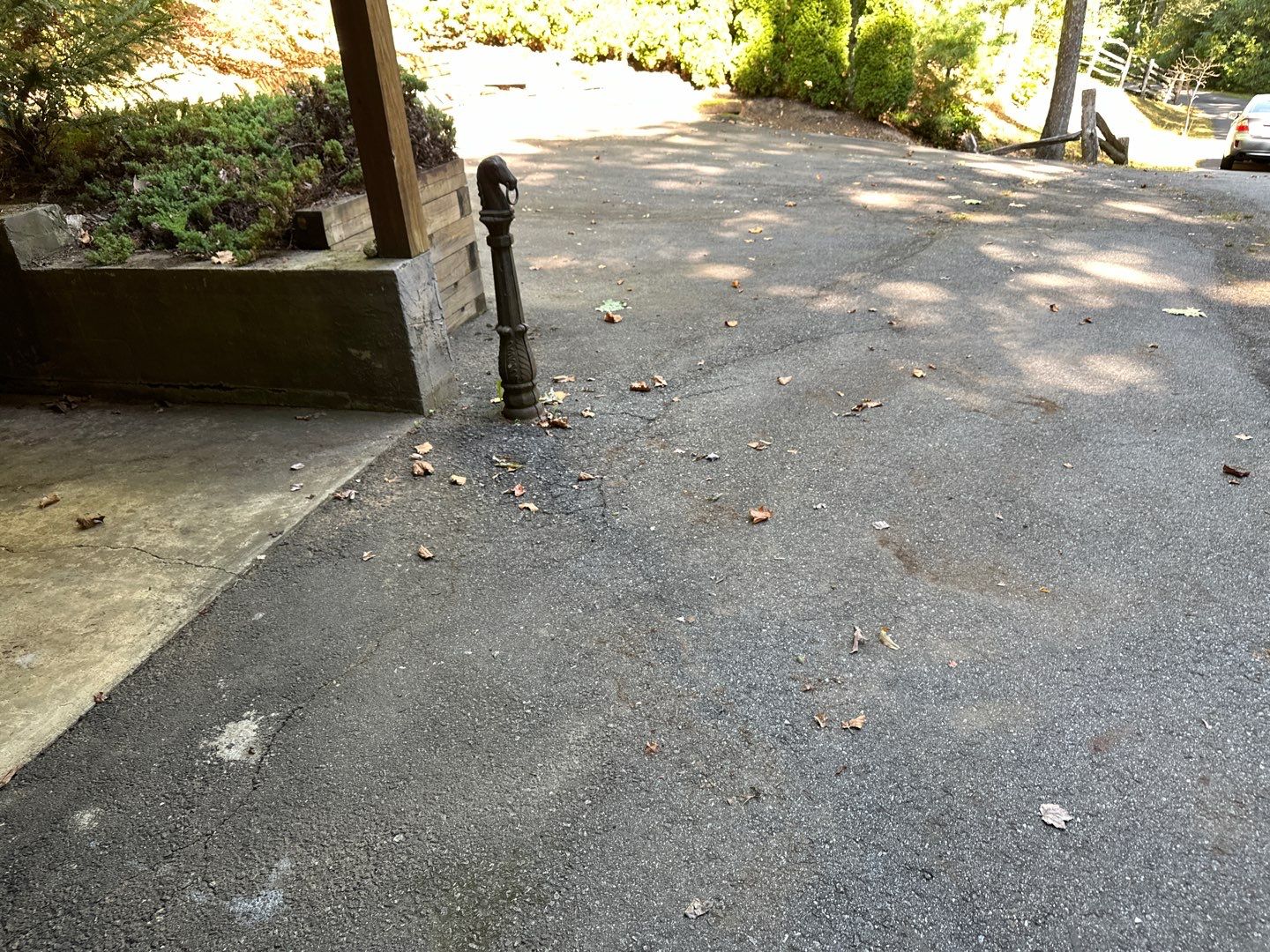 the service being done is cleaning a driveway surface removing dirt leaves and debris for improved appearance and maintenance