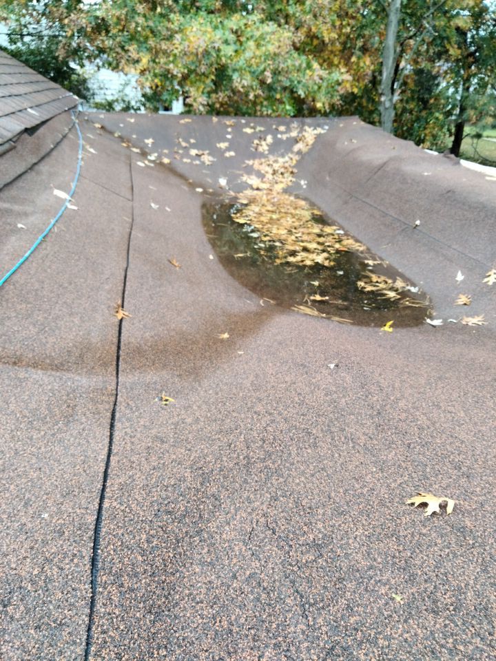 Tree Destroyed Patio Room by Absolute Roofing and Construction