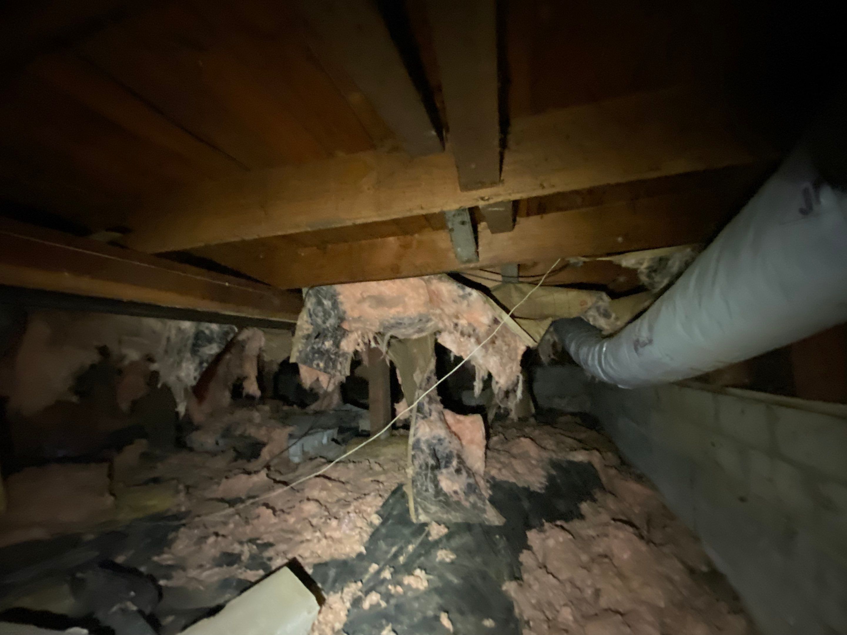 Crawlspace Transformation by Hausmeister Home Services INC