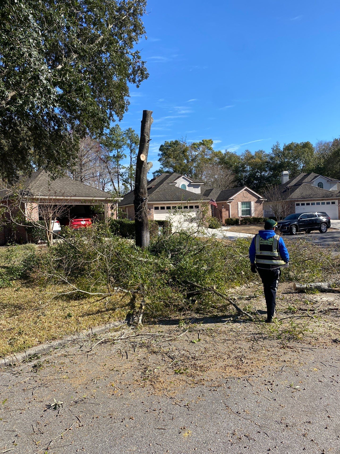 Residential | Tree Removal by ProGreen Services