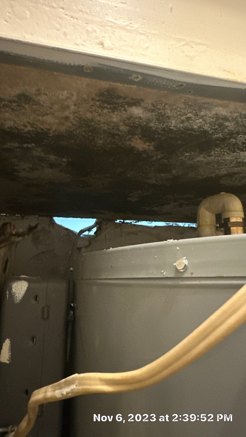 Water loss by Building performance Solutions LLC