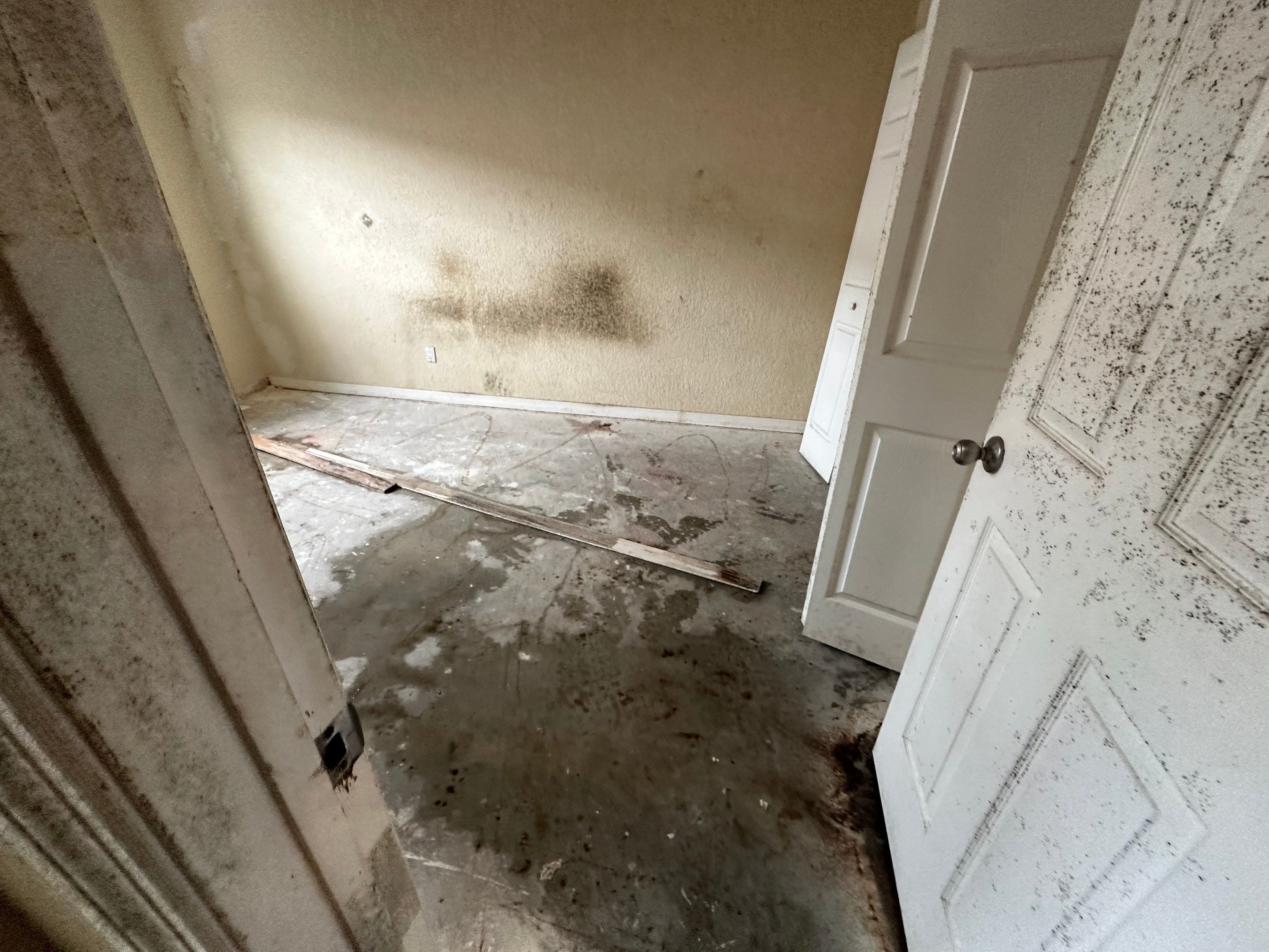 Water Damage Claim in Daytona Beach by FLAPA & KeyStone