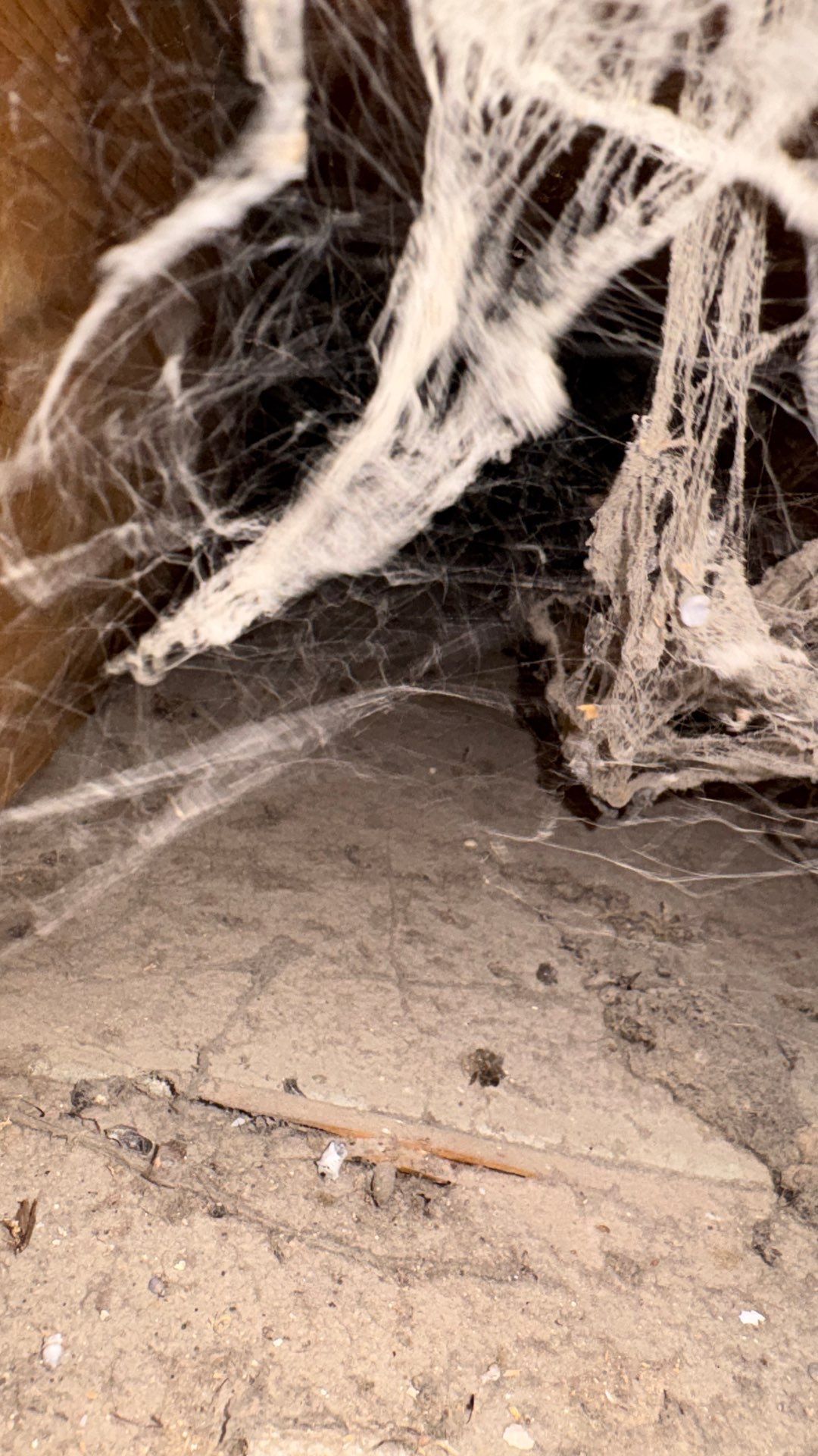 Comprehensive HVAC Air Duct System Cleaning in Beaver Falls by Superior Air Duct Cleaning