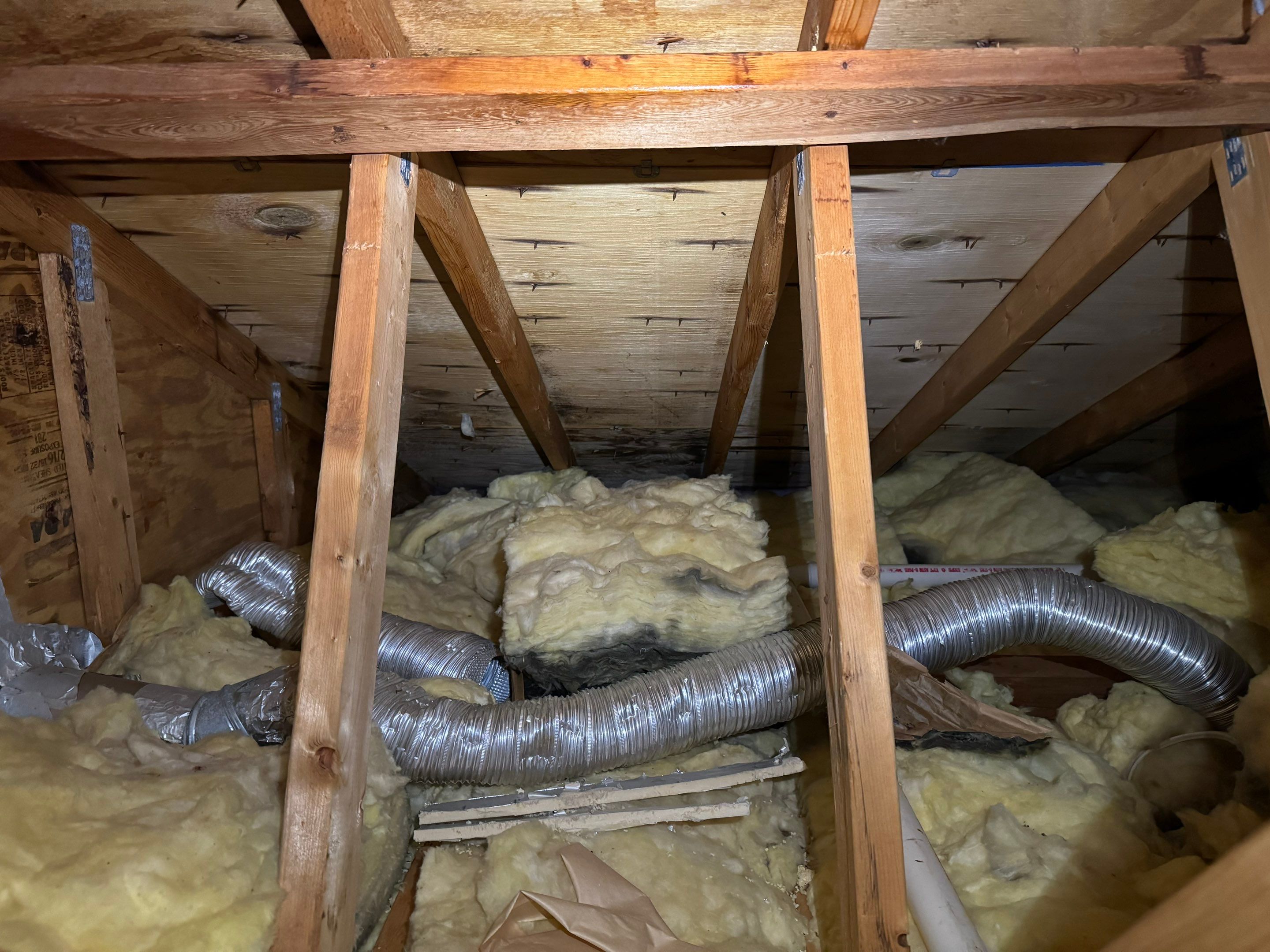 Attic & Sunroom Mold Remediation by Home Guarantee, LLC