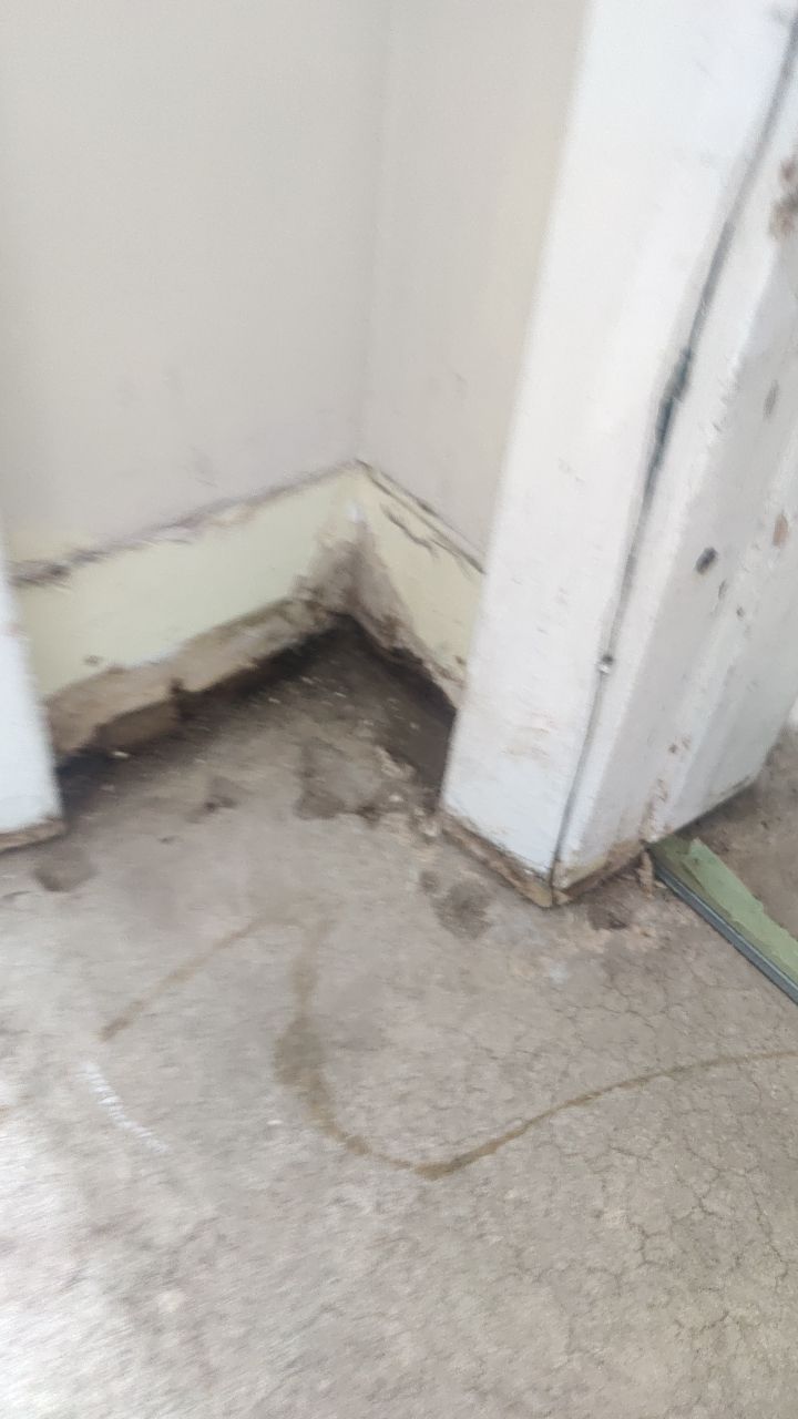 Mold Remediation by Accountable Home Services