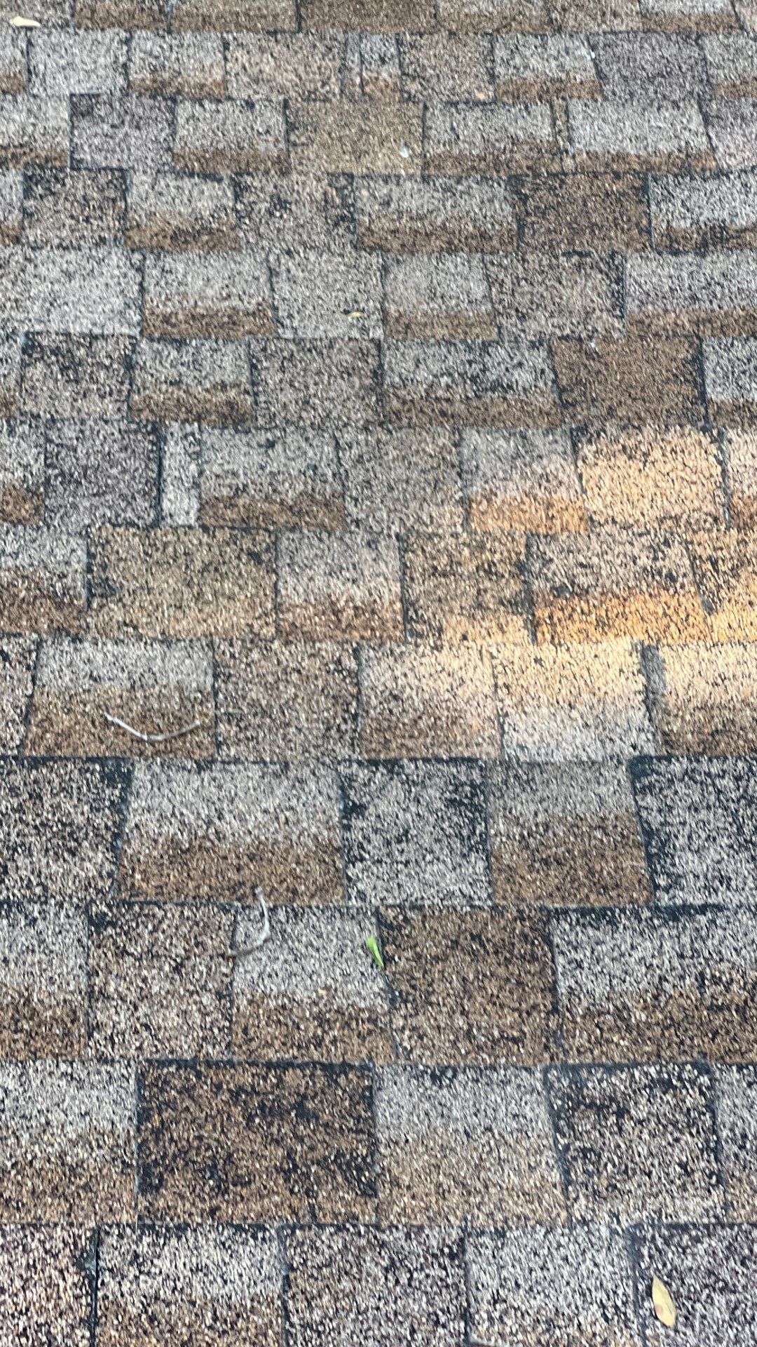 Project in Richmond by Roof Maxx of Midlothian