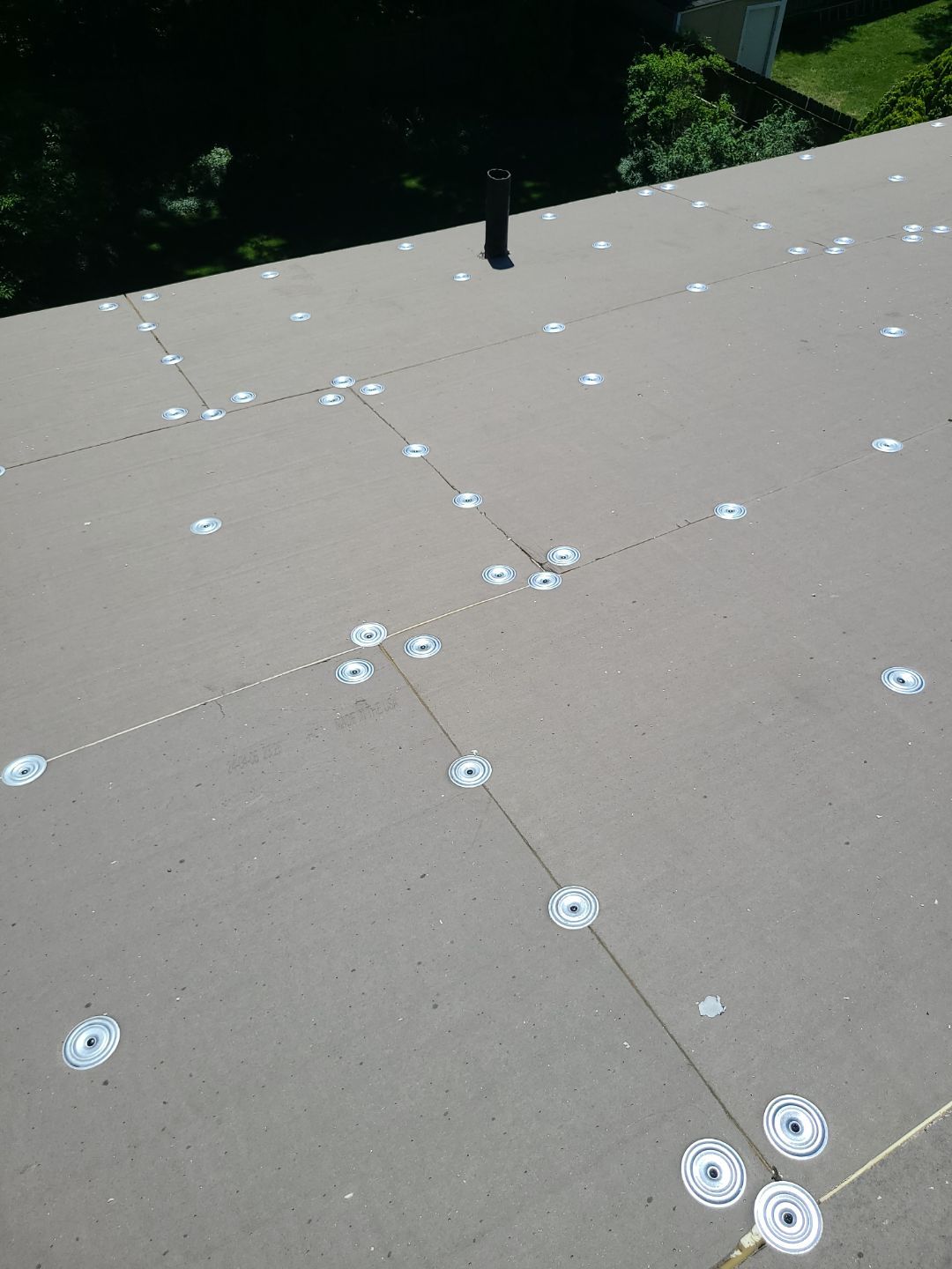 Alexandria: Mule Hide TPO Flat Roof by RM Banning, Inc.