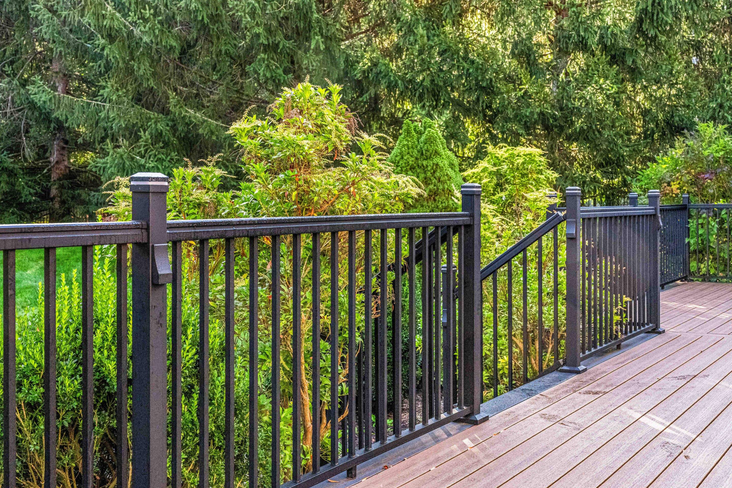 Peter - Bernards NJ by deck guardian