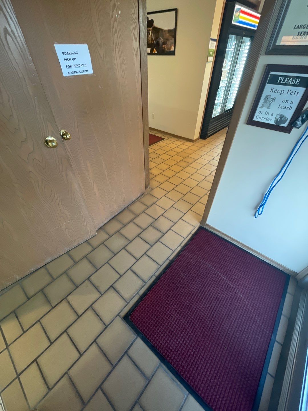 York Animal Clinic by Granite Garage Floors