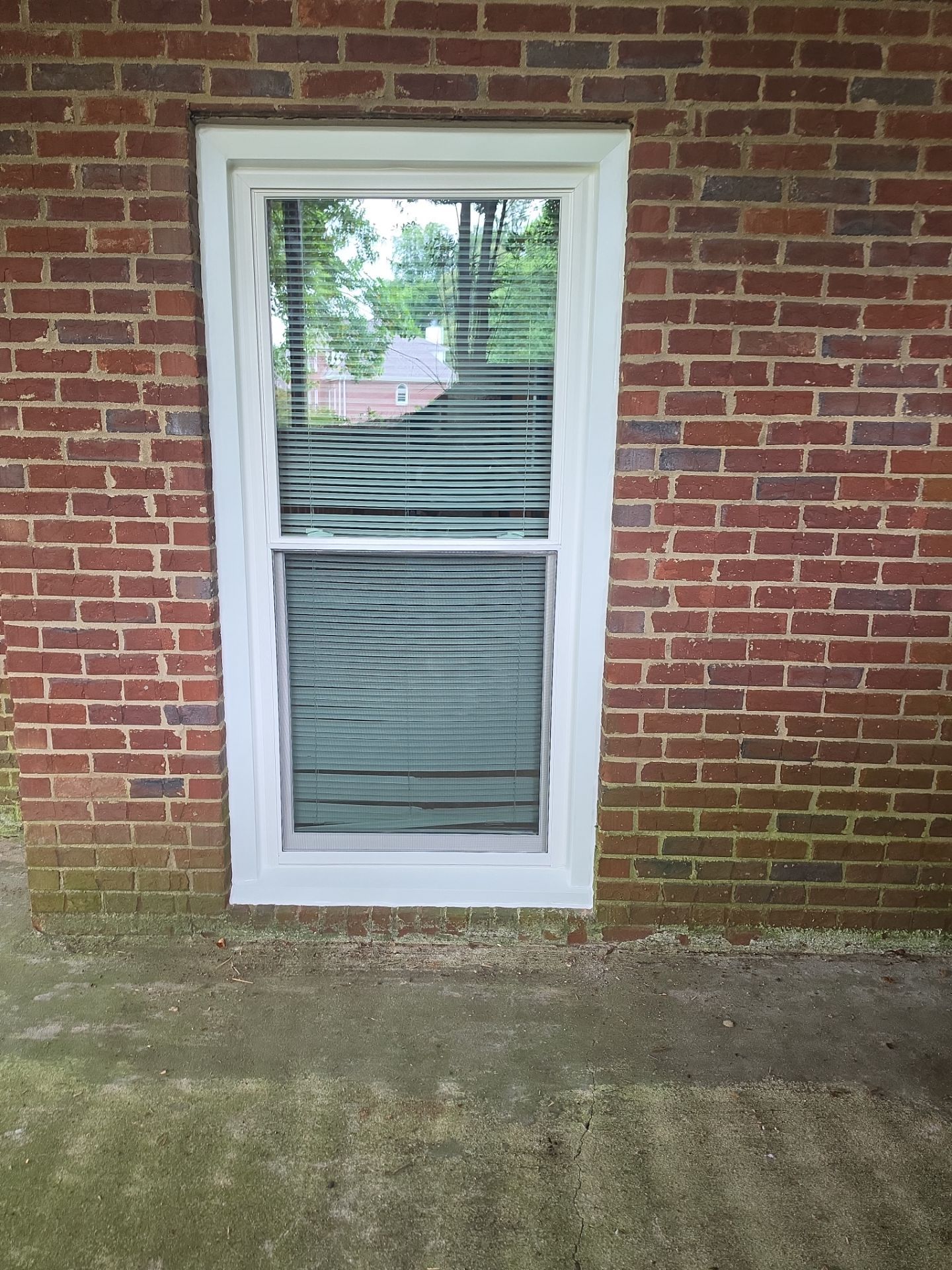 Vo Project in Vestavia Hills by The Window Source
