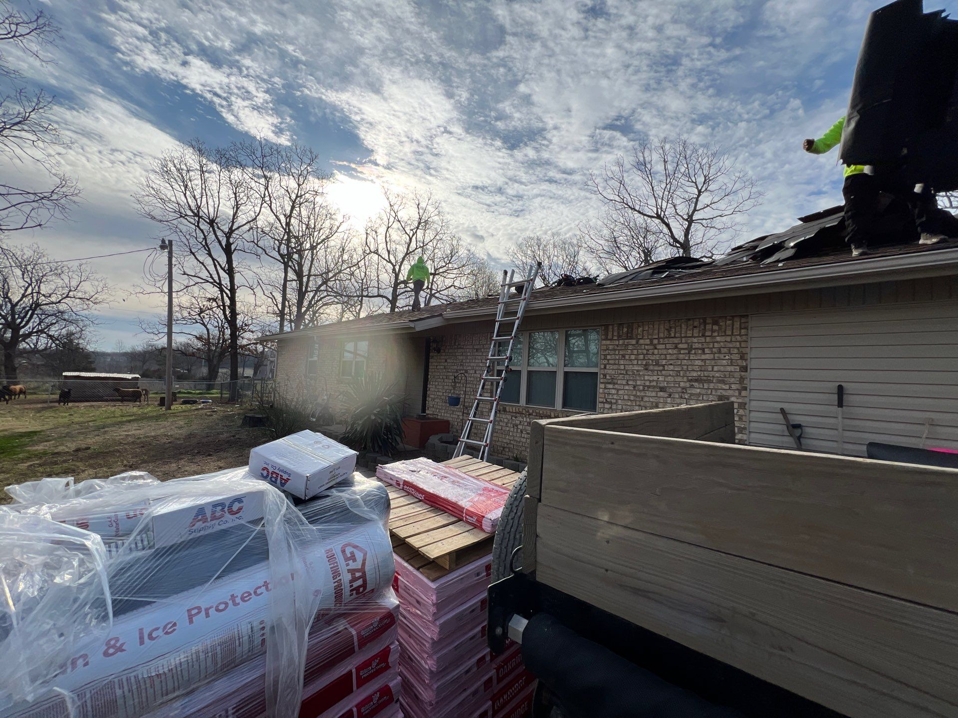 Owens Corning Dessert Tan by In & Out Construction & Remodeling, LLC