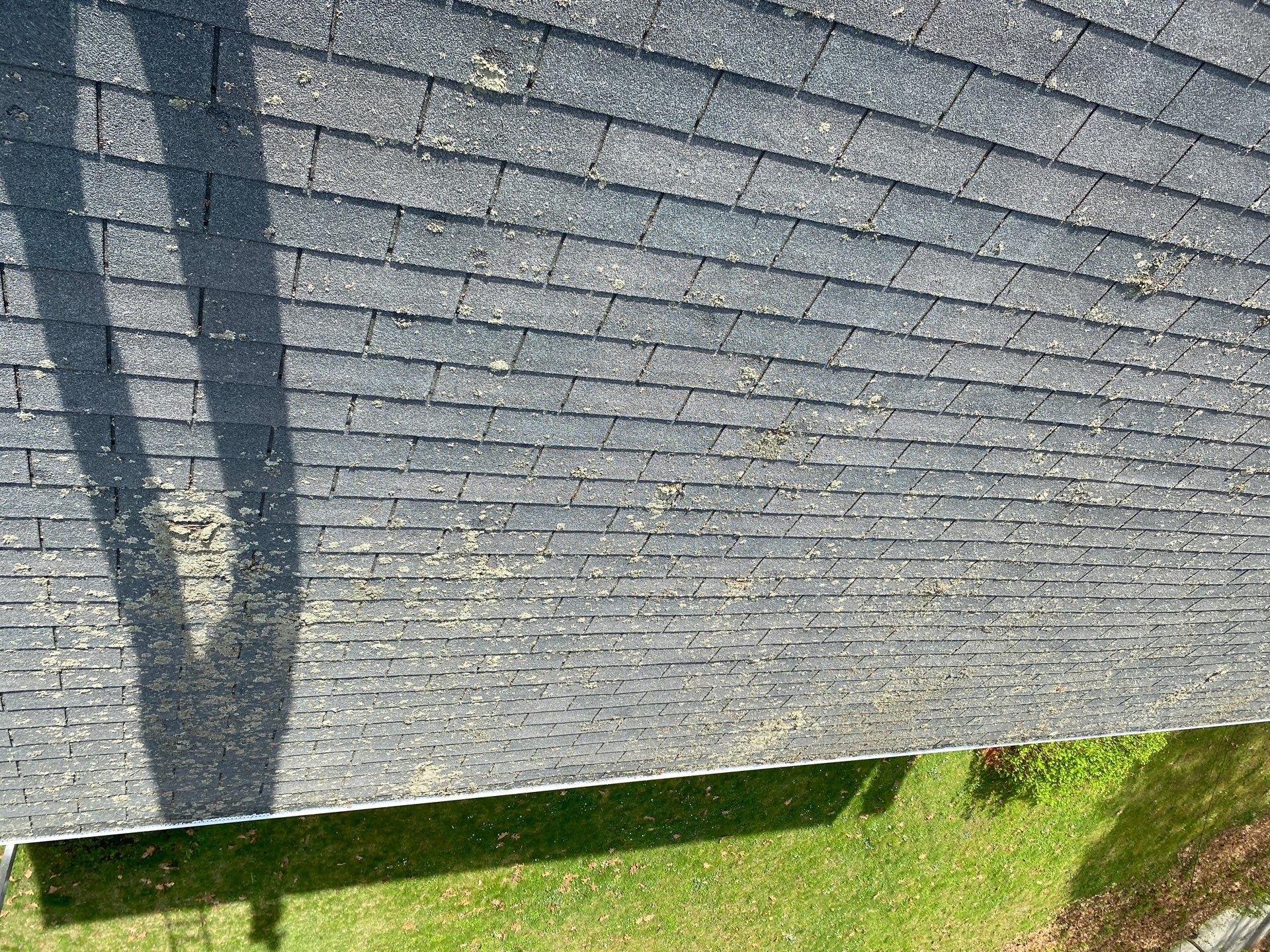 Roofing | Carlisle by Mighty Dog Roofing of Greater Middlesex County