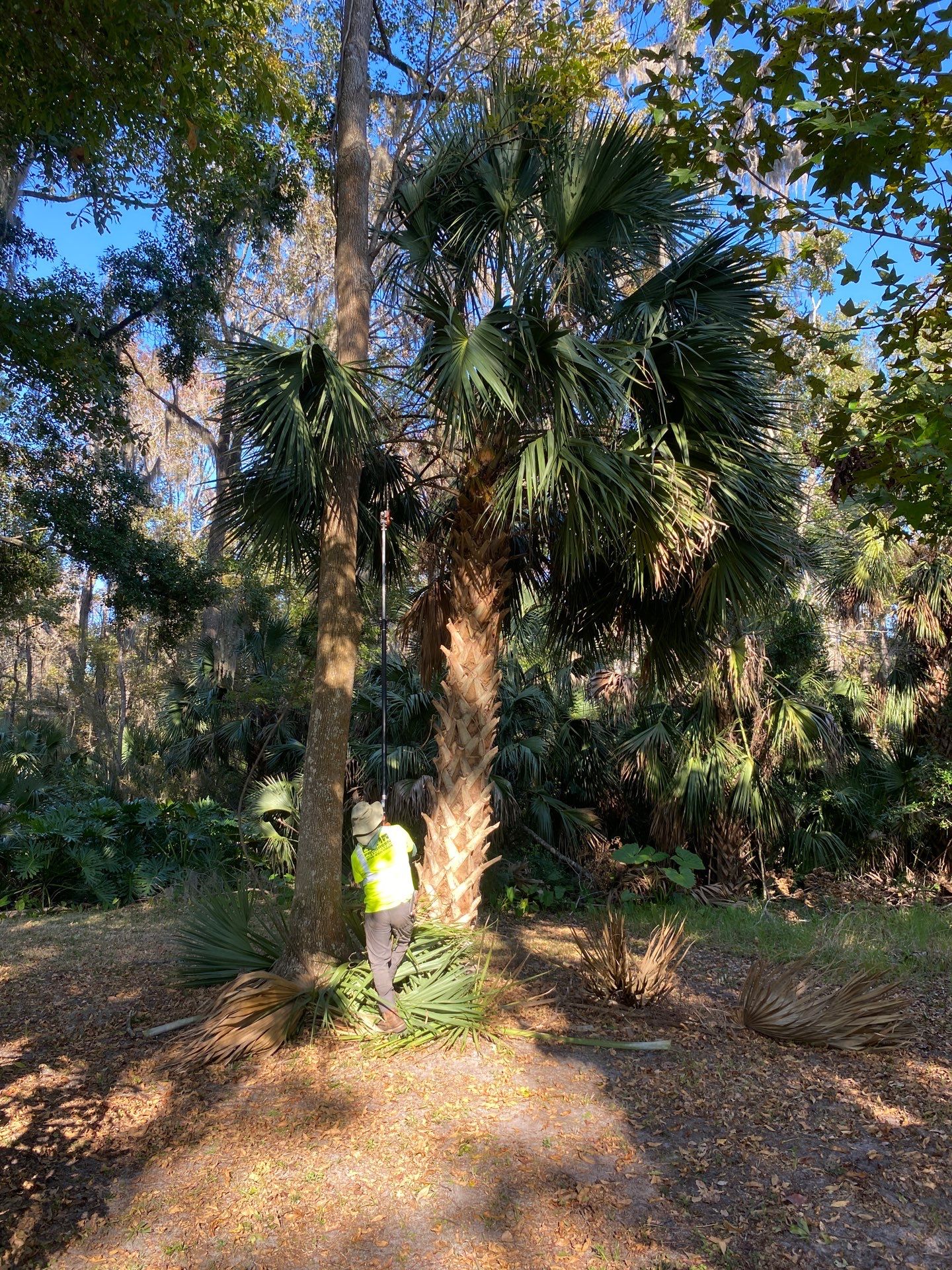 Deerwood Resident | Extreme Clean Up by ProGreen Services